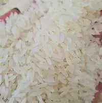 Fragrant rice