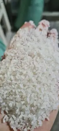 Broken Fragrant Rice