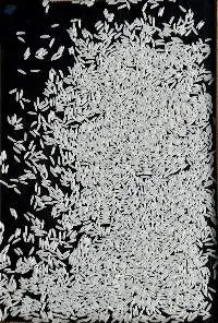 ST25 Extra Long Grain Fragrant Rice