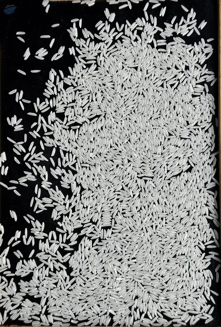 ST25 Extra Long Grain Fragrant Rice