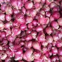 Red Onion