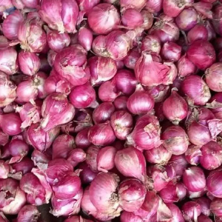 Red Onion