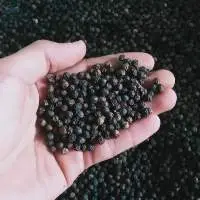 Black Pepper