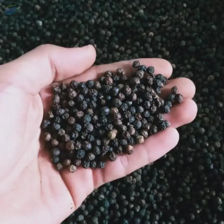 Black Pepper