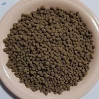 Guano Phosphate