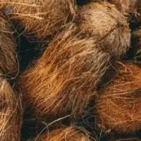 High Quality of Coconut Coir Fiber