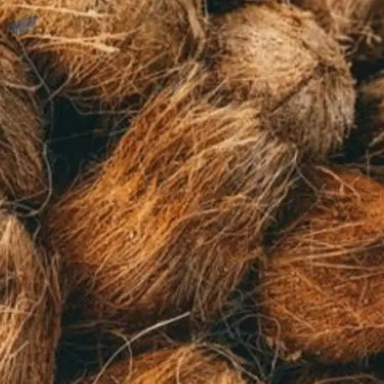 High Quality of Coconut Coir Fiber