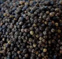 Black Pepper