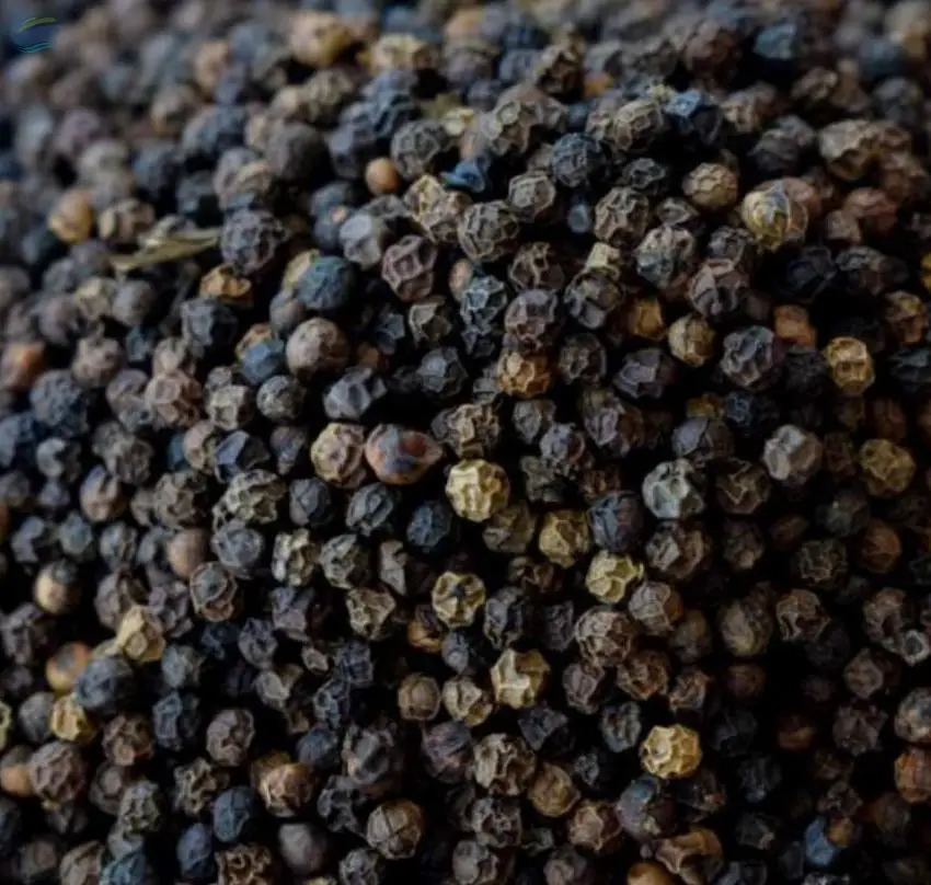 Black Pepper