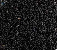 Nigella Sativa