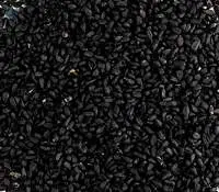Nigella Sativa