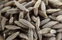 Cumin