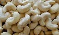 Cashew Nut