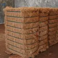 Coconut Fiber / Coir