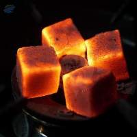 Coconut Shell Charcoal Briquettes