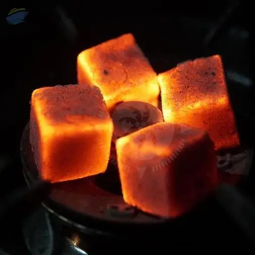 Coconut Shell Charcoal Briquettes