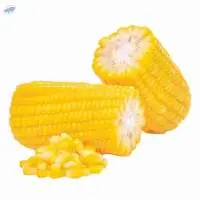 Mini Corn Cobs