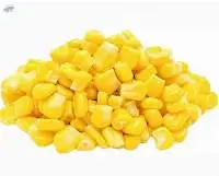 IQF Sweet Corn Kernels
