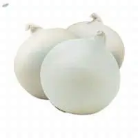 Silver Skin Onion