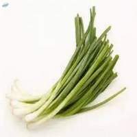 IQF Spring Onion