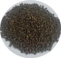 Aquatic Soil