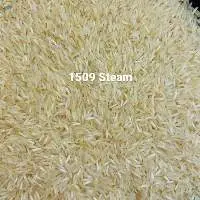 1509 Basmati Steam