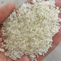Rice (Basmati & Non Basmati)  Rice