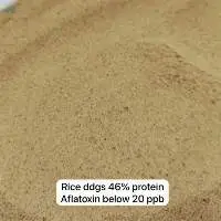 Rice DDGS 46% Protein