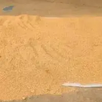 Animal Feed