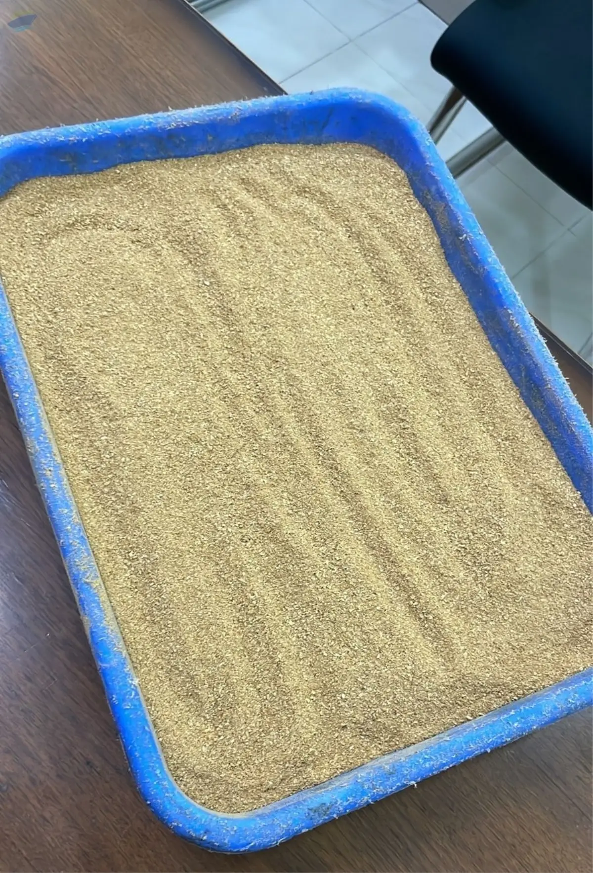 Soybean Meal