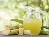 Fresh / Frozen Sugarcane