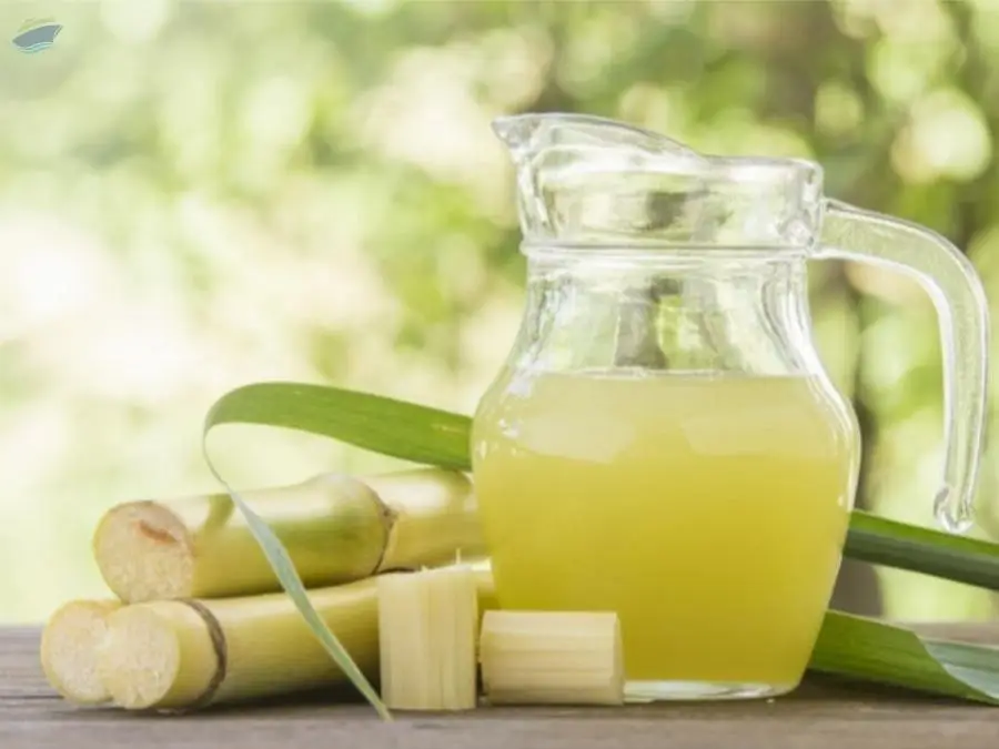 Fresh / Frozen Sugarcane