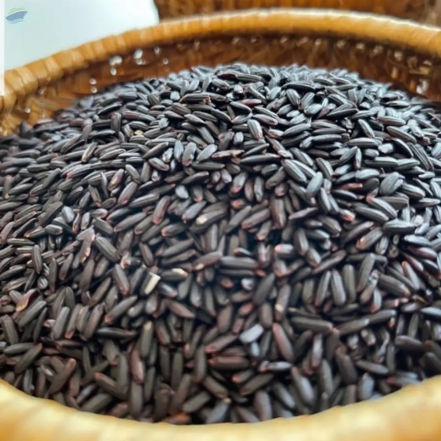 Black Rice