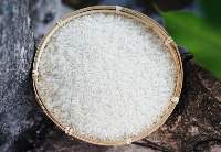 White Rice 5% Broken (DT8)