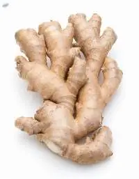 Fresh Ginger