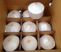 Coconut