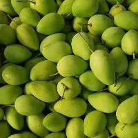 Fresh And Frozen Mango