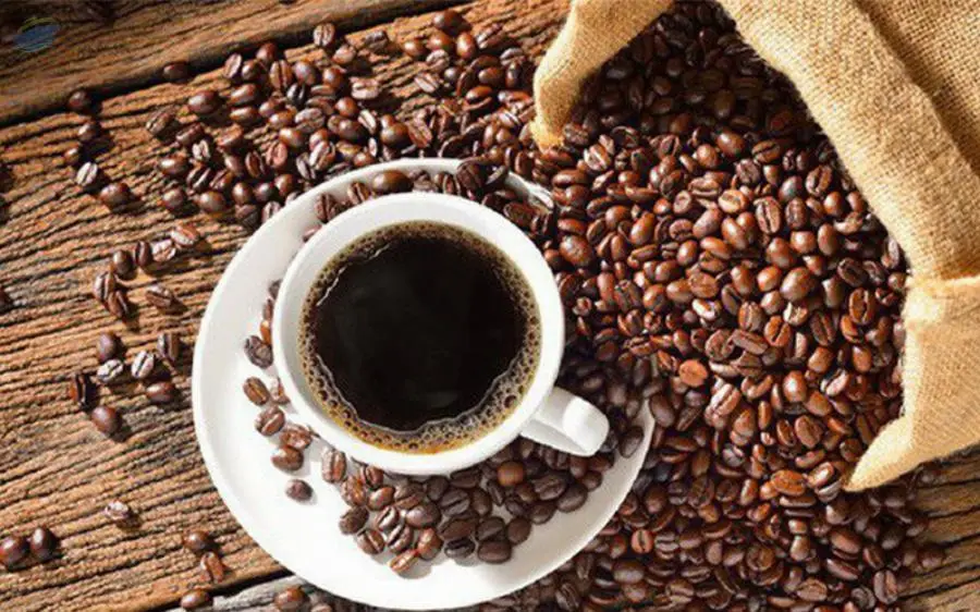 Coffee