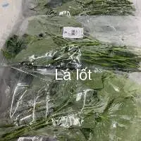 Vegetables