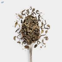 Green Tea Leave Powder