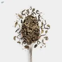 Green Tea Leave Powder