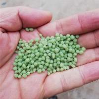 DAP Fertilizer