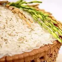 Jasmine Rice