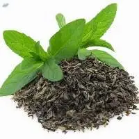 Green Tea Leave Powder