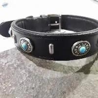 Leather Dog Collar