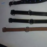 Leather Dog Collar