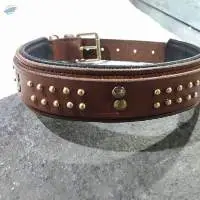 Leather Dog Collar With Studs And Rivets