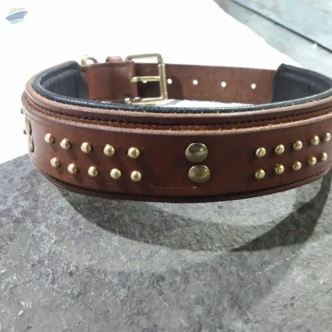Leather Dog Collar With Studs And Rivets