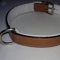 Leather Dog Collar White Padded