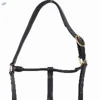Leather Horse Halter